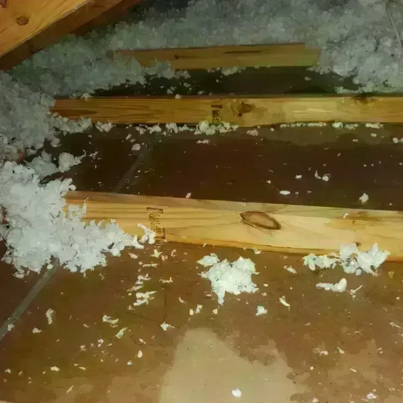 Attic Water Damage in Roscoe, TX