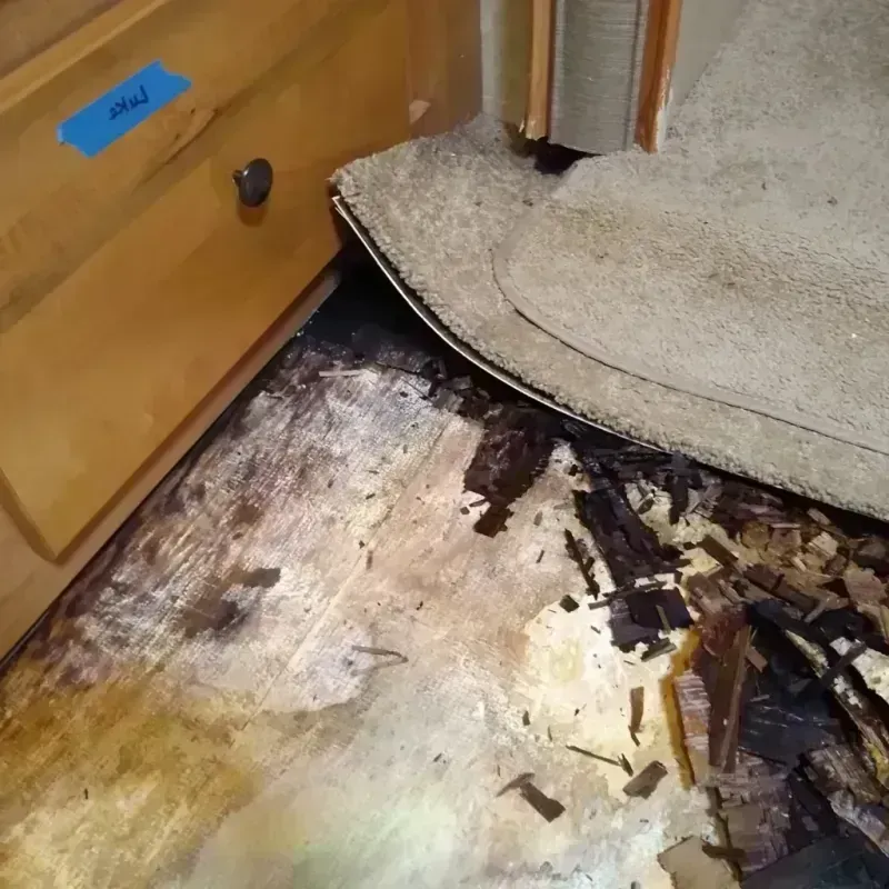 Wood Floor Water Damage in Roscoe, TX